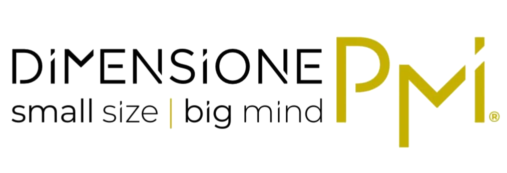 Dimensione PMI